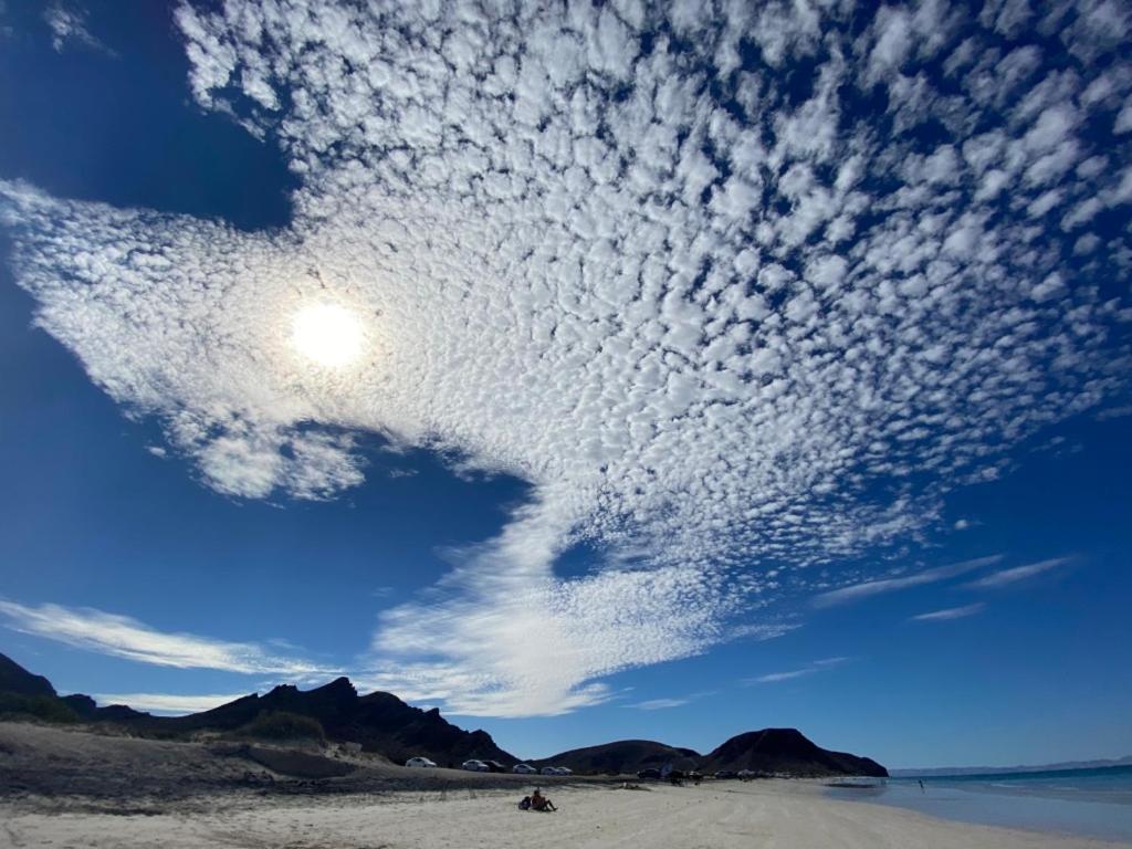 Amazing Condo Sea Front Top Location In La Paz - Salty Water Pool And Jacuzzis Eksteriør billede